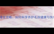 哈士奇护理全攻略如何科学养护毛孩健康与快乐生活