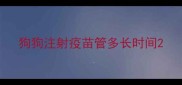 狗狗注射疫苗管多长时间