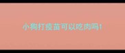 小狗打疫苗可以吃肉吗