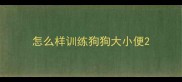怎么样训练狗狗大小便
