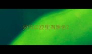 边牧口腔里有黑色