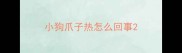 小狗爪子热怎么回事