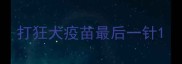 打狂犬疫苗最后一针