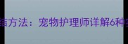 狗狗三角巾的正确打结方法宠物护理师详解6种实用系法与注意事项