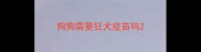 狗狗需要狂犬疫苗吗