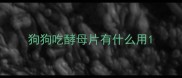 狗狗吃酵母片有什么用