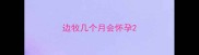 边牧几个月会怀孕