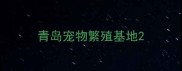 青岛宠物繁殖基地