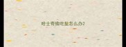 哈士奇偷吃盐怎么办