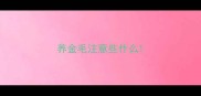 养金毛注意些什么
