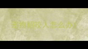 宠物貂咬人怎么办