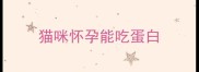 猫咪怀孕能吃蛋白