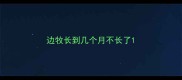 边牧长到几个月不长了
