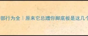 狗狗脚部行为全原来它总蹭你脚底板是这几个原因