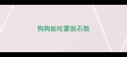 狗狗能吃蒙脱石散