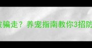 哈士奇容易被骗走养宠指南教你3招防范宠物盗窃