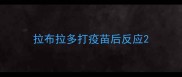 拉布拉多打疫苗后反应