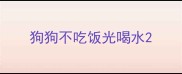 狗狗不吃饭光喝水