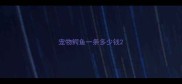 宠物鳄鱼一条多少钱