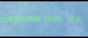 最新指南公博美发情期时间症状应对措施