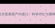 宠物狂犬疫苗国产VS进口科学对比与接种指南