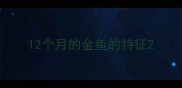 12个月的金鱼的特征