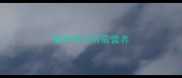猫咪每日所需营养