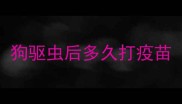 狗驱虫后多久打疫苗