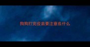 狗狗打完疫苗要注意些什么