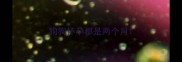 狗狗怀孕都是两个月