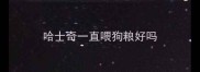 哈士奇一直喂狗粮好吗