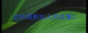 边牧遇到女人的故事
