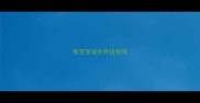有宝宝适合养边牧吗