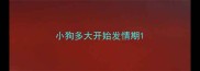 小狗多大开始发情期