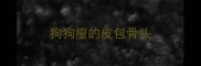 狗狗瘦的皮包骨头