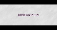 蓝眼睛边牧好不好