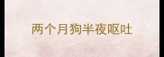 两个月狗半夜呕吐