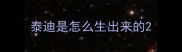 泰迪是怎么生出来的