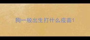狗一般出生打什么疫苗
