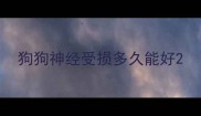 狗狗神经受损多久能好