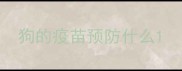 狗的疫苗预防什么