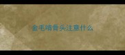 金毛啃骨头注意什么