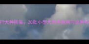 最全流行犬种图鉴20款小型犬饲养指南与品种特性深度