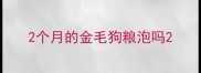 2个月的金毛狗粮泡吗