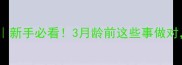 边牧幼犬外出全攻略新手必看3月龄前这些事做对养出健康聪明边牧