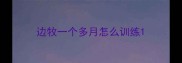 边牧一个多月怎么训练
