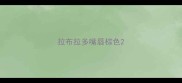 拉布拉多嘴唇棕色