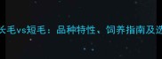 拉布拉多长毛vs短毛品种特性饲养指南及选购建议全