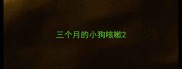 三个月的小狗咳嗽