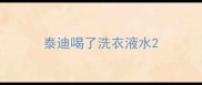 泰迪喝了洗衣液水